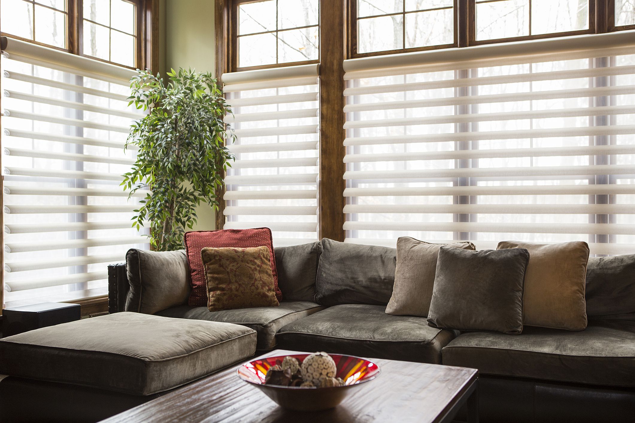 Best Blinds for Windows, Perfect Window Treatment Solution in UAE - Serial  Blinds