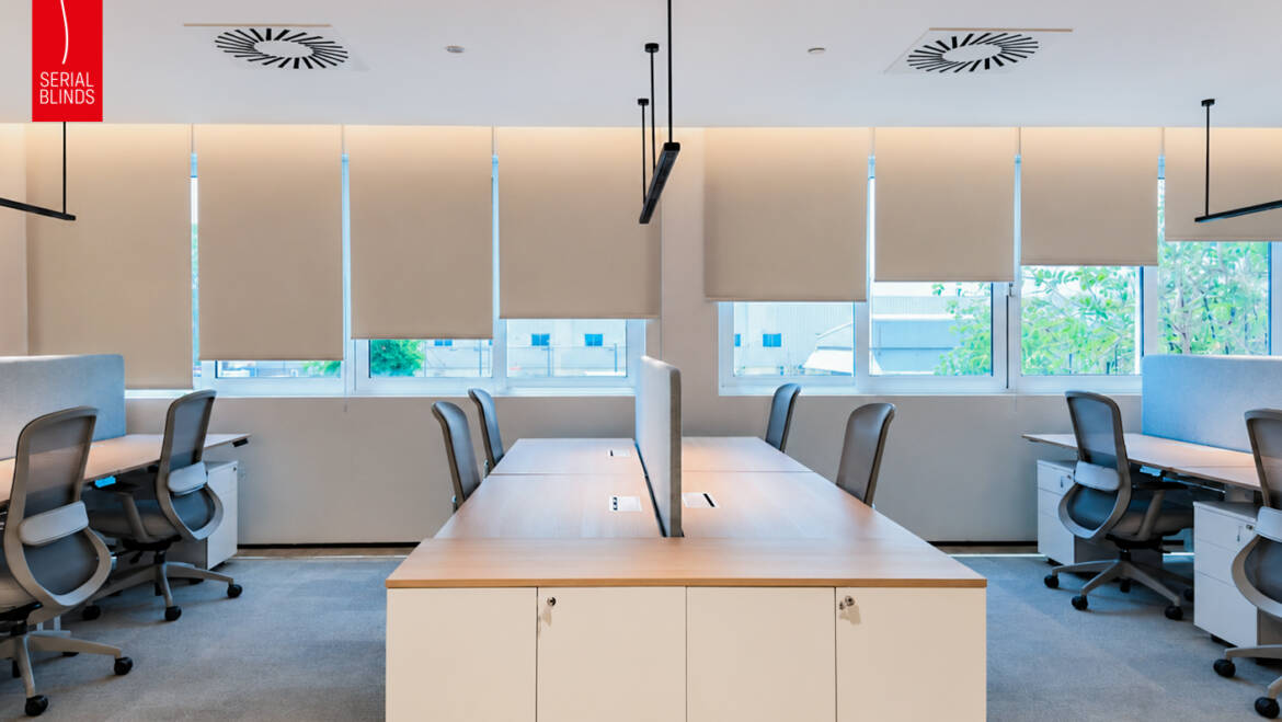 How to Make a Small Apartment Look Bigger with Blinds & Curtains